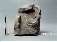 ELEMENTO ARCHITETTONICO