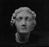 Testa ideale femminile