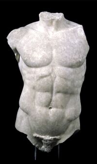 Torso virile