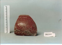 coppa/ forma parzialmente ricostruibile