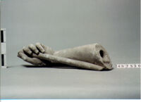 statua/ braccio