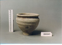 olla perforata