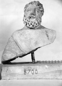 busto maschile