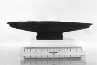 patera