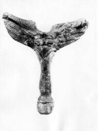 pieduccio