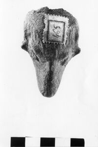 patera/ ansa