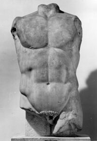 torso maschile