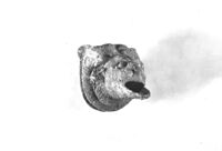 situla/ beccuccio