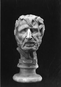 testa
