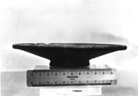 patera