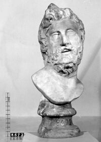 busto maschile