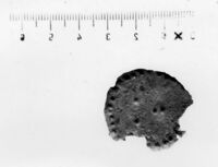 lamina antropomorfa
