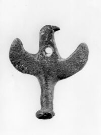 pieduccio