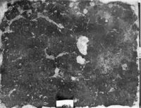 intonaco dipinto