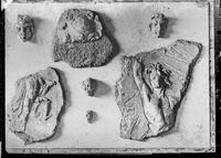 Quadretto con stucchi