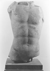 torso virile
