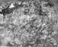 rivestimento parietale