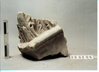 CAPITELLO CORINZIO ASIATICO DI LESENA