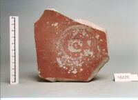 coppa/ forma parzialmente ricostruibile