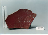 coppa/ forma parzialmente ricostruibile