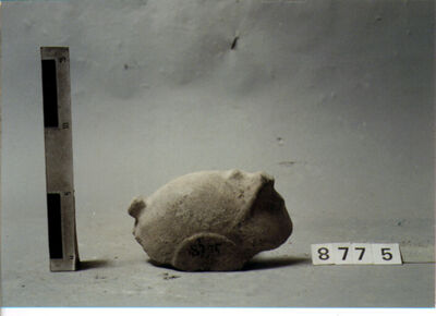 Titolo immagine