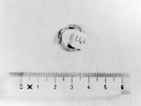 anello a capi sovrapposti