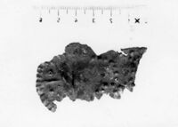 lamina antropomorfa