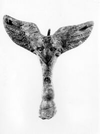 pieduccio