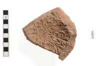 Frammento di matrice ceramica italo megarese.