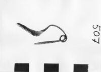fibula ad arco