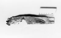 lamina antropomorfa