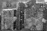 intonaco dipinto