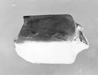 bottiglia mercuriale