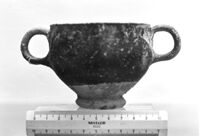 tazza