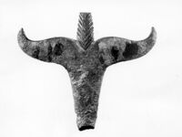 pieduccio