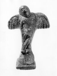 pieduccio