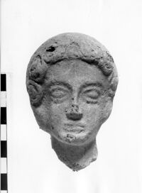 testa femminilevotiva