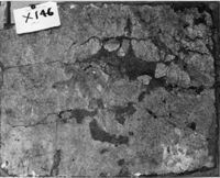intonaco dipinto