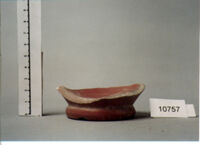 coppa/ forma parzialmente ricostruibile