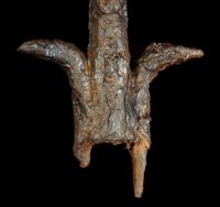 I Segni del Potere - cuspidi di lance portastendardo