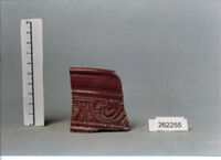 coppa/ forma parzialmente ricostruibile