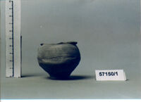 OLLA