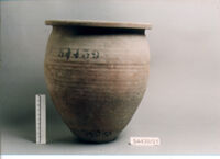 OLLA