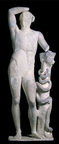 Statua di Apollo Liceo