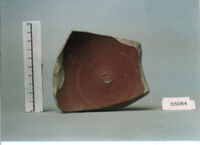 coppa/ forma parzialmente ricostruibile