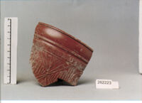 coppa/ forma parzialmente ricostruibile