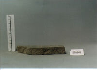 LASTRA DI RIVESTIMENTO