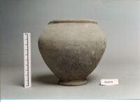 OLLA