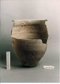 OLLA
