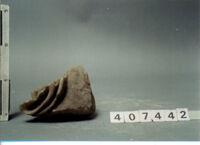 capitello corinzio/ frammento